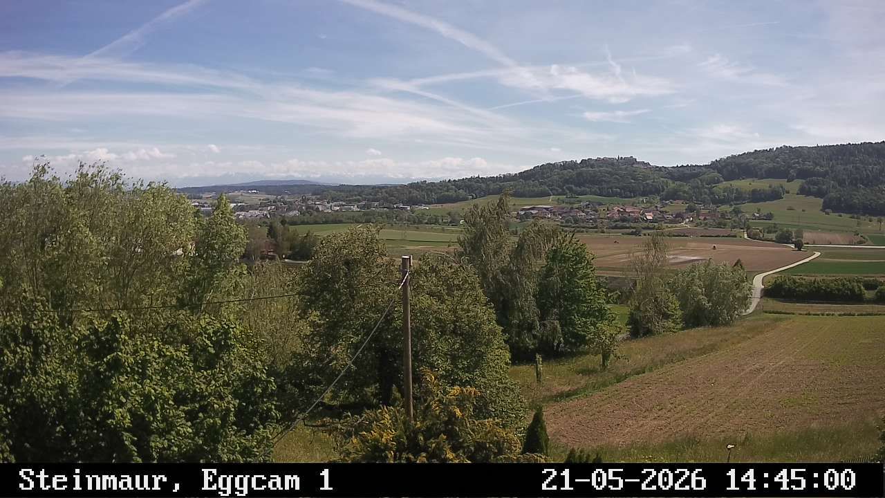 Steinmaur › Süden: Regensberg