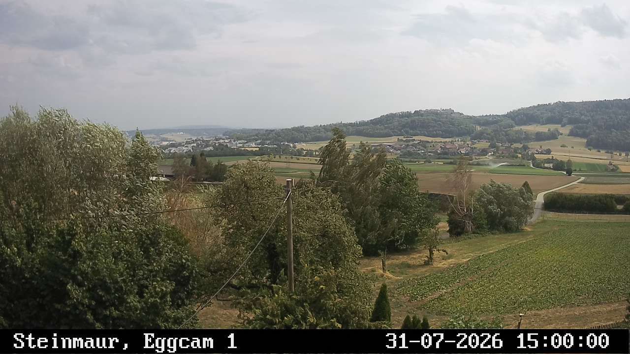 Steinmaur › Süden: Regensberg