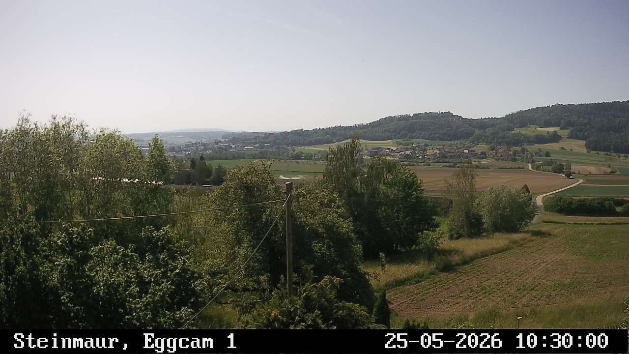 Steinmaur › Süden: Regensberg