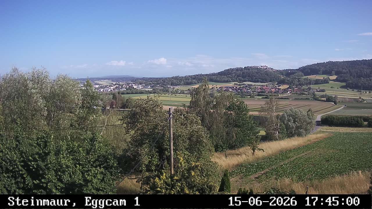 Steinmaur › Süden: Regensberg