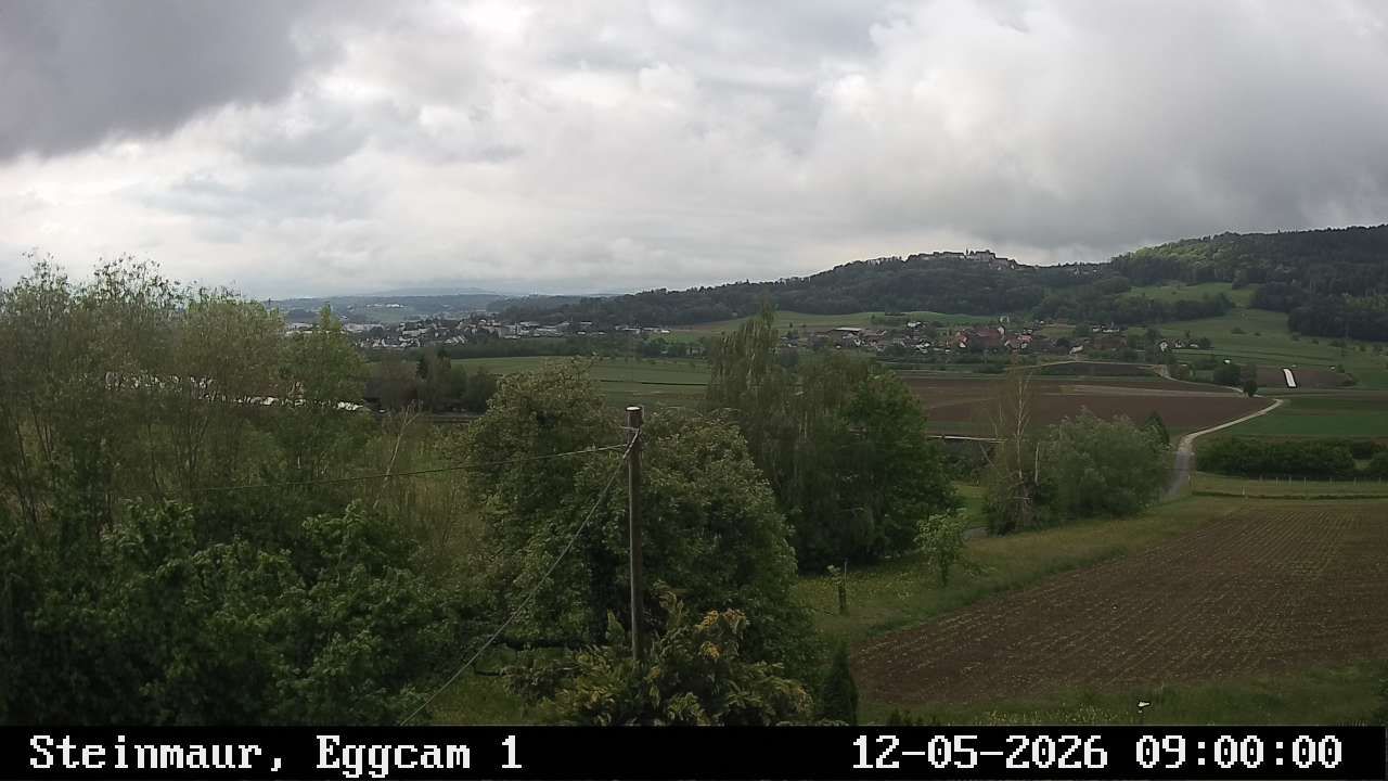 Steinmaur › Süden: Regensberg