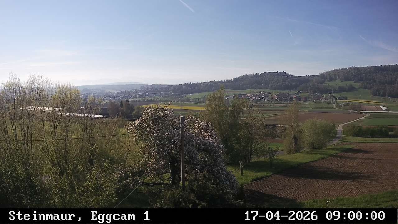 Steinmaur › Süden: Regensberg