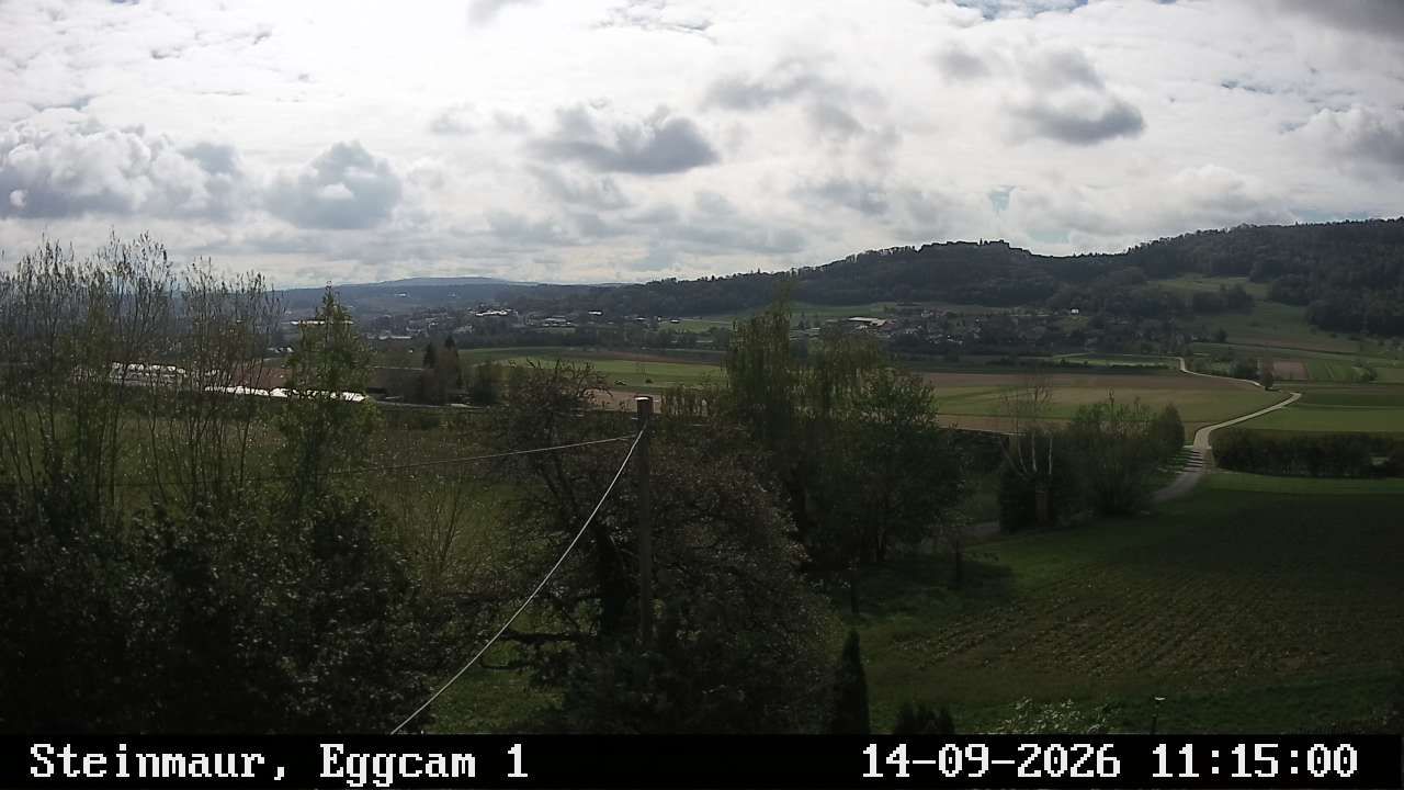 Steinmaur › Süden: Regensberg