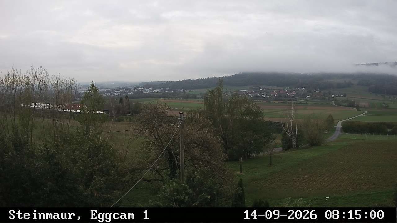 Steinmaur › Süden: Regensberg