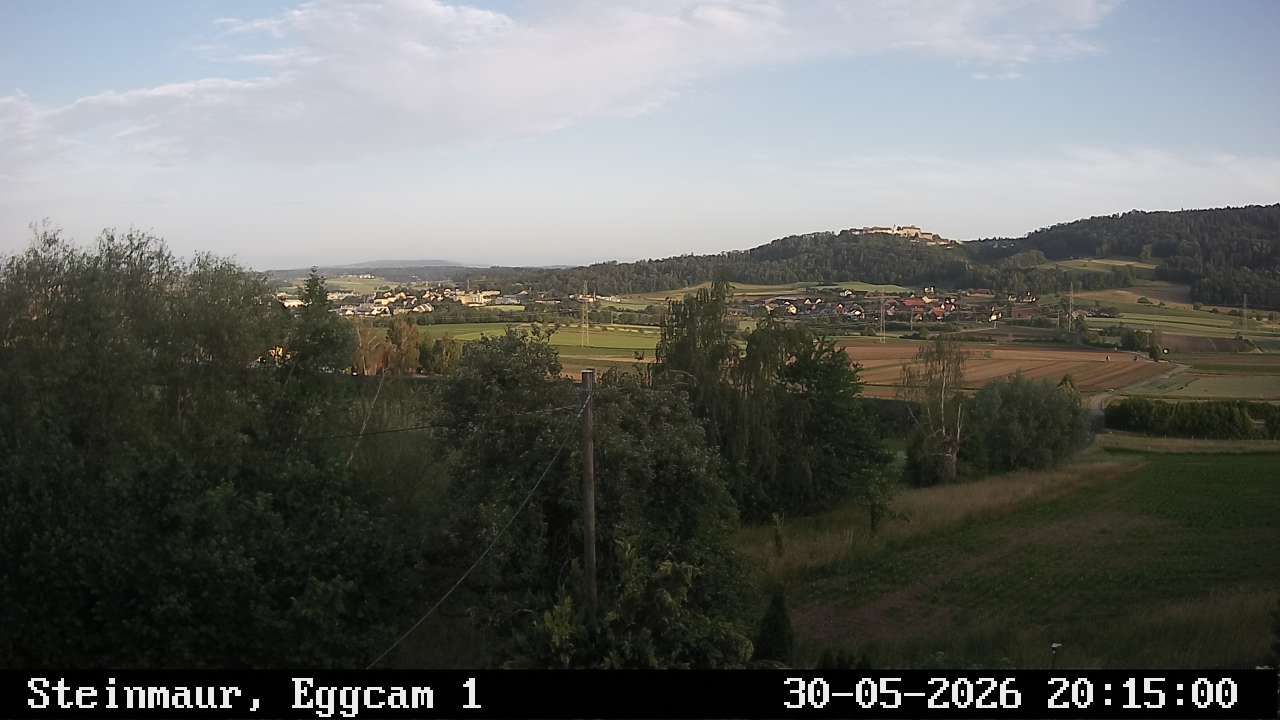Steinmaur › Süden: Regensberg