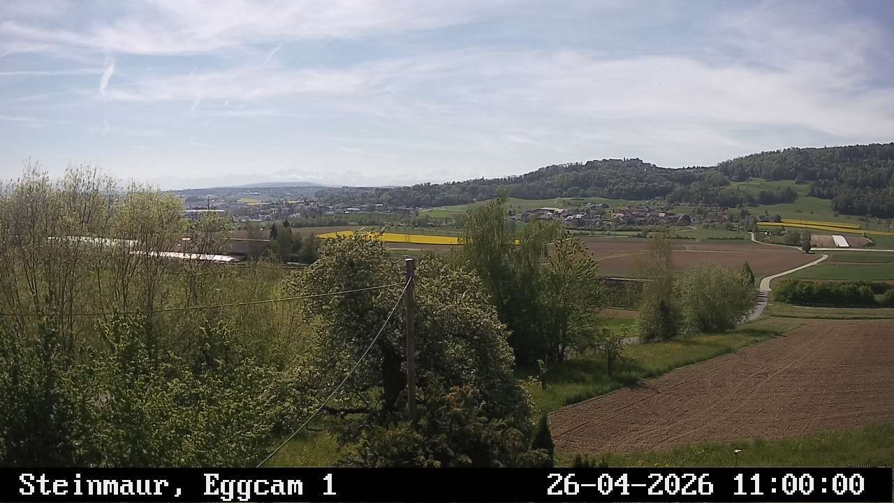 Steinmaur › Süden: Regensberg