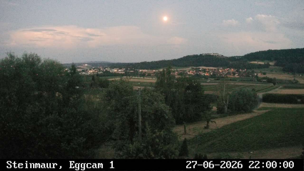 Steinmaur › Süden: Regensberg