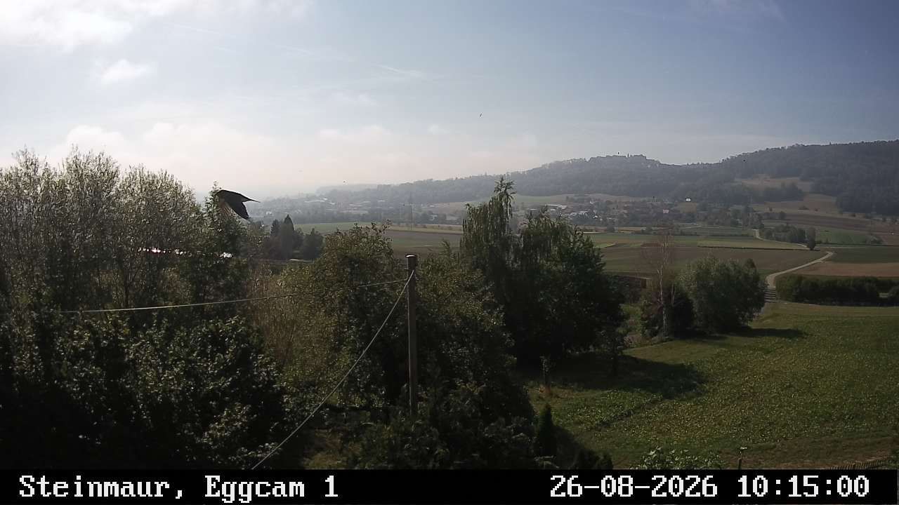 Steinmaur › Süden: Regensberg