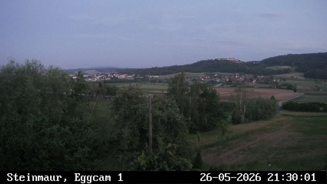 Steinmaur › Süden: Regensberg