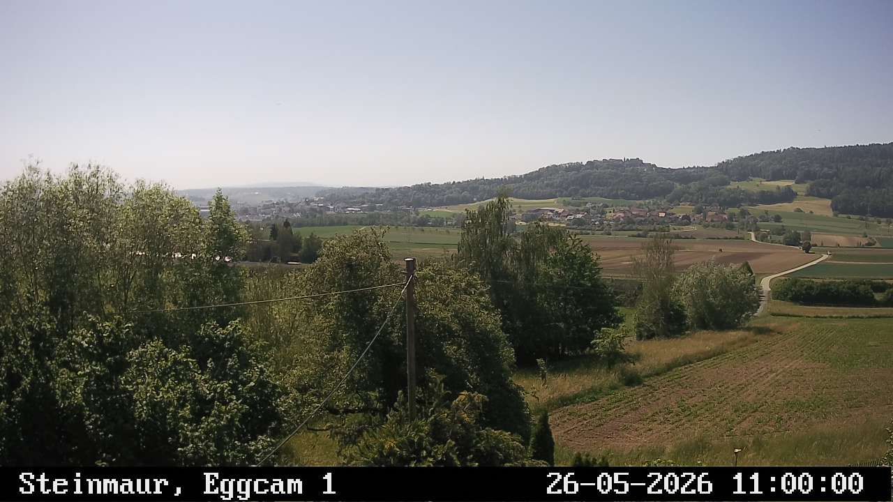 Steinmaur › Süden: Regensberg