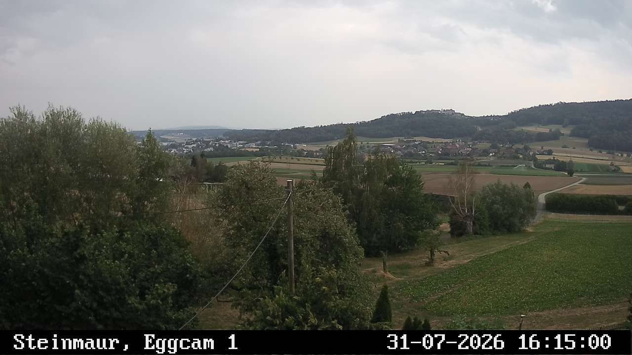 Steinmaur › Süden: Regensberg