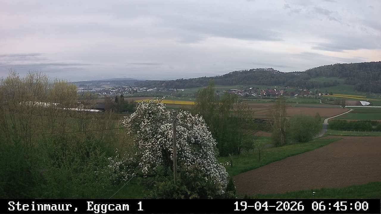 Steinmaur › Süden: Regensberg