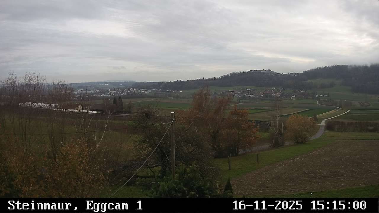 Steinmaur › Süden: Regensberg