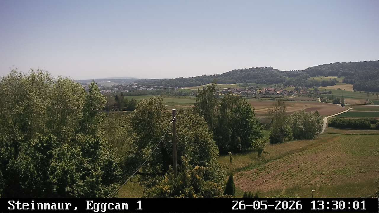 Steinmaur › Süden: Regensberg