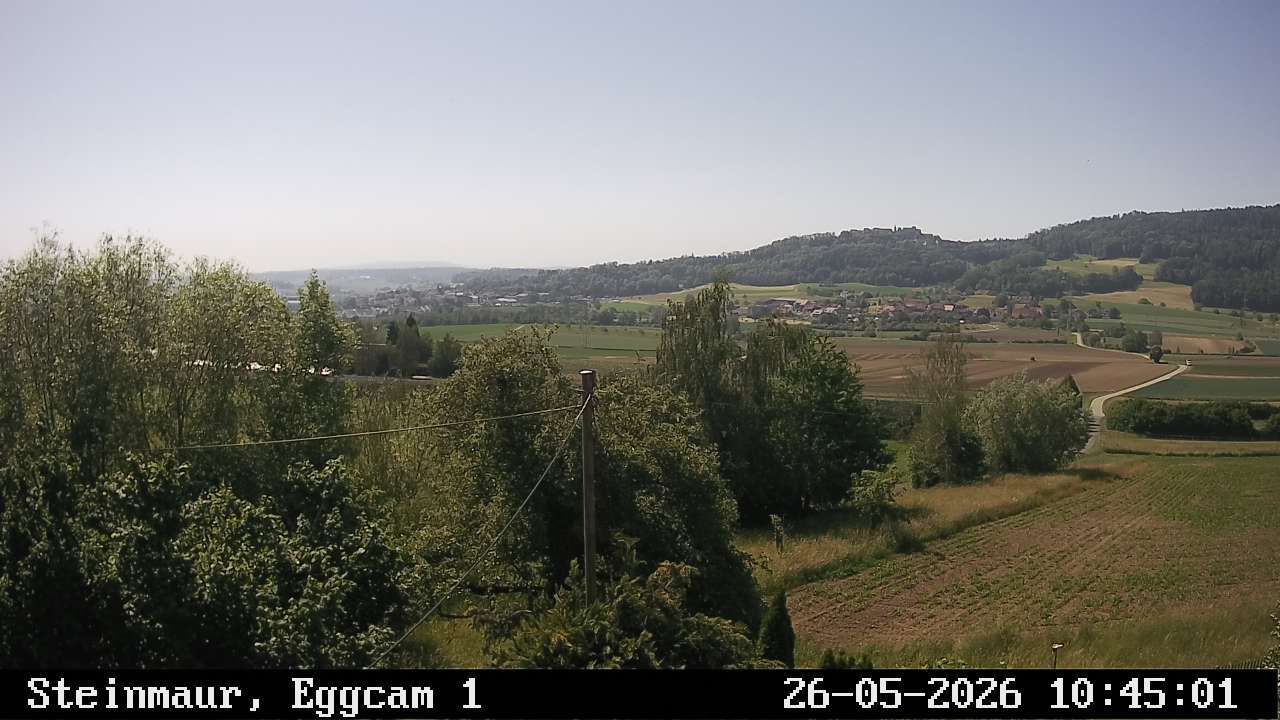 Steinmaur › Süden: Regensberg