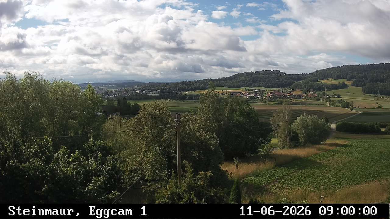 Steinmaur › Süden: Regensberg