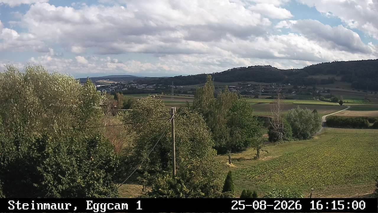 Steinmaur › Süden: Regensberg