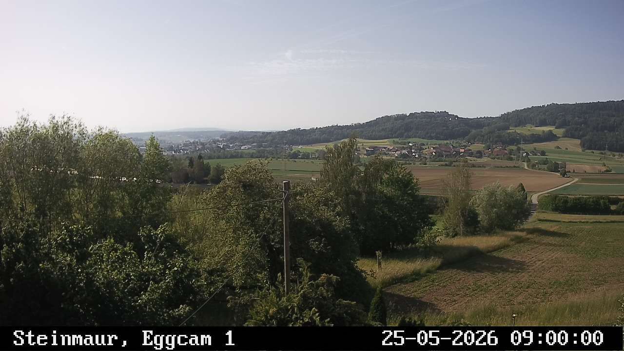 Steinmaur › Süden: Regensberg