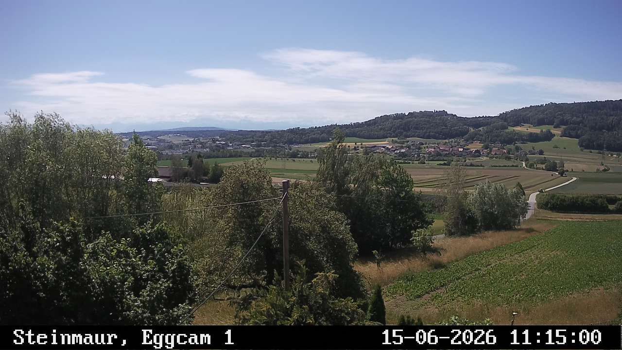 Steinmaur › Süden: Regensberg