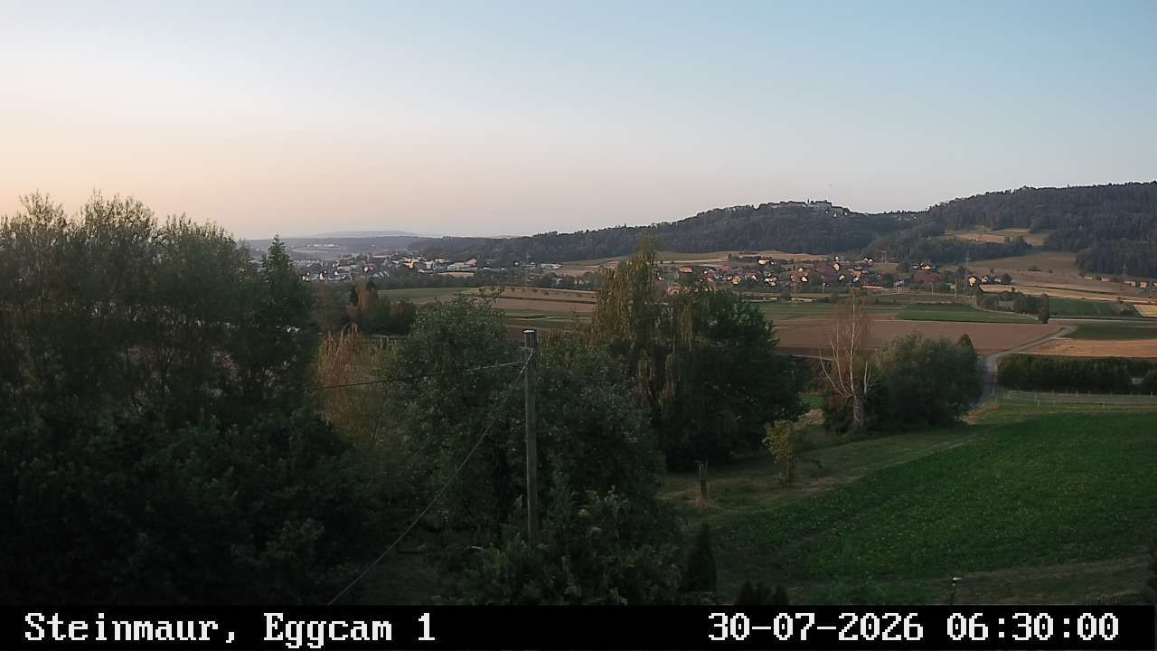 Steinmaur › Süden: Regensberg