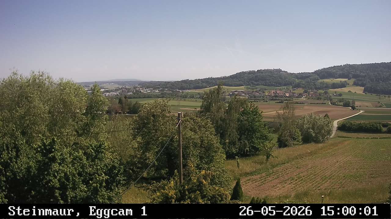 Steinmaur › Süden: Regensberg