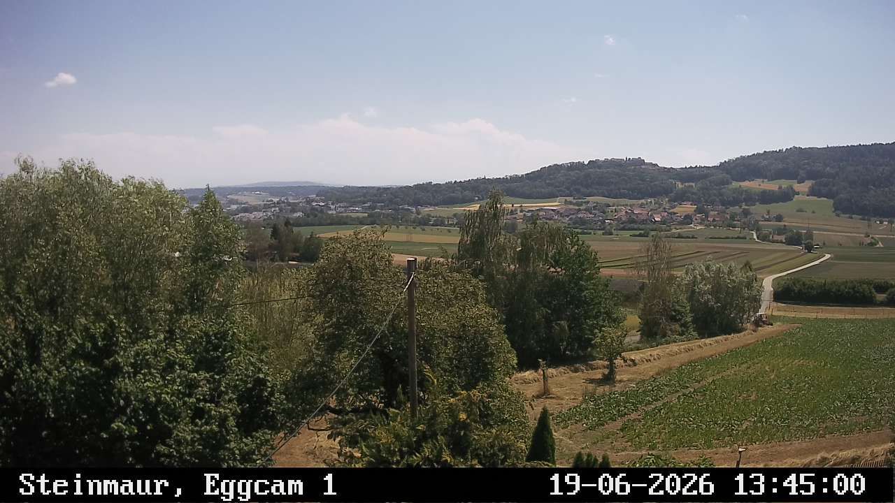 Steinmaur › Süden: Regensberg