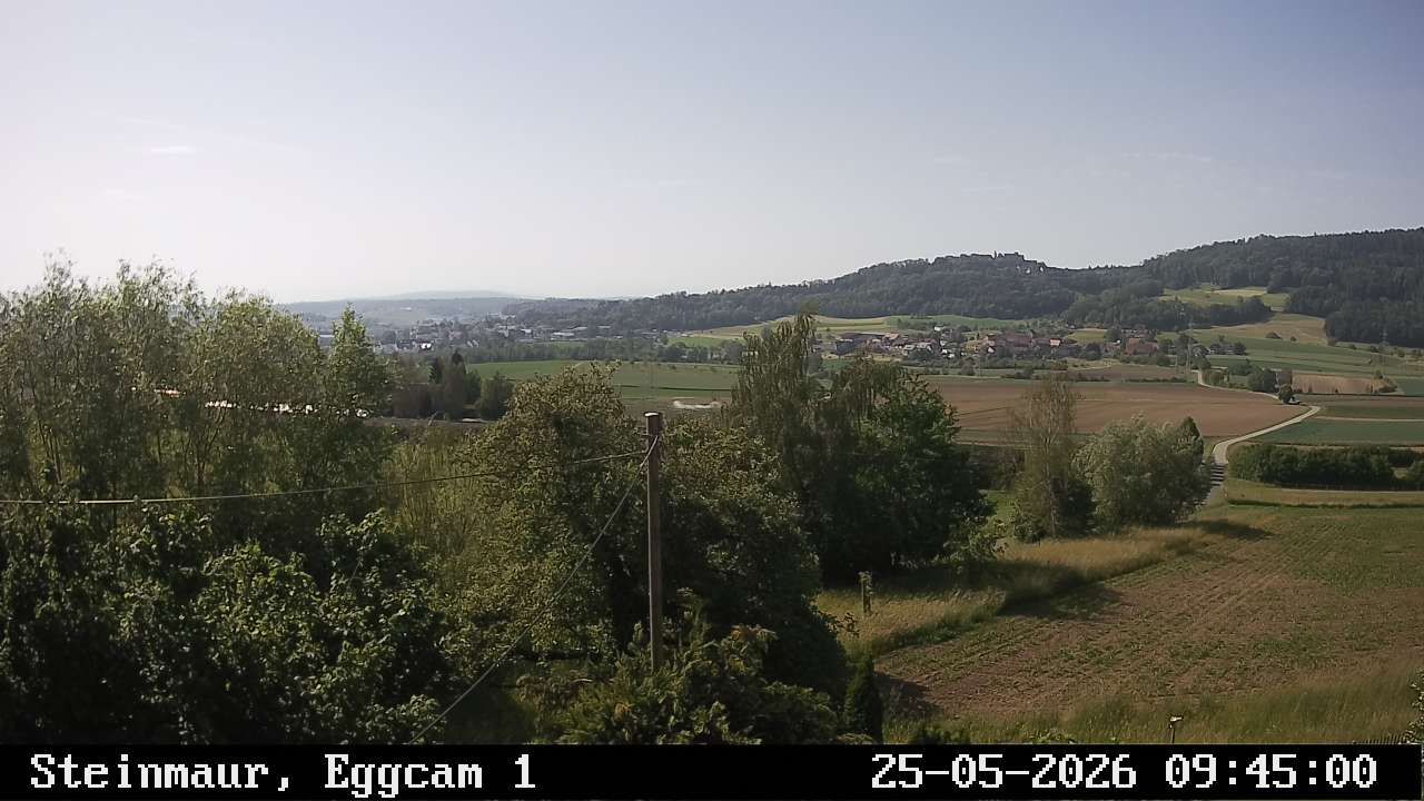 Steinmaur › Süden: Regensberg