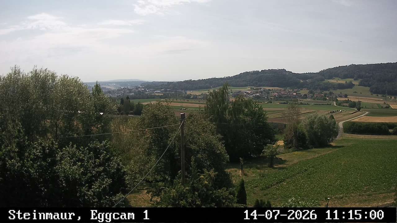 Steinmaur › Süden: Regensberg