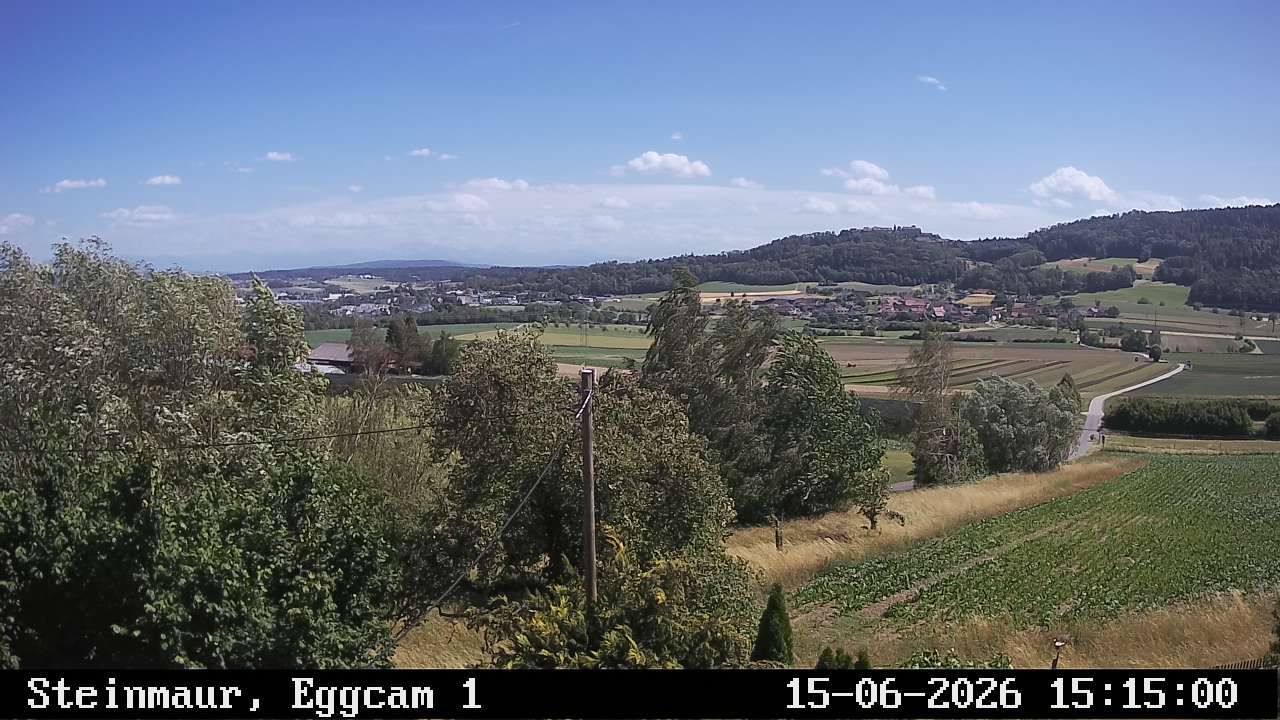 Steinmaur › Süden: Regensberg