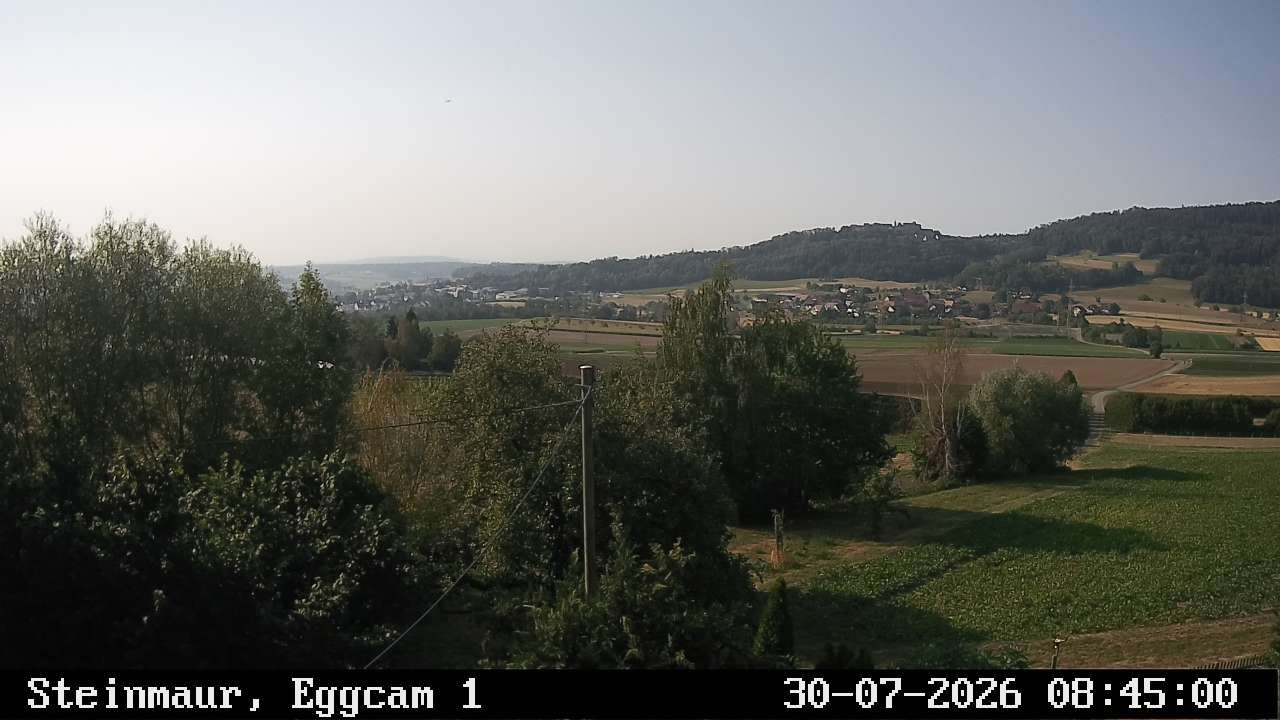Steinmaur › Süden: Regensberg