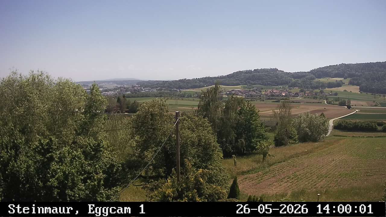 Steinmaur › Süden: Regensberg