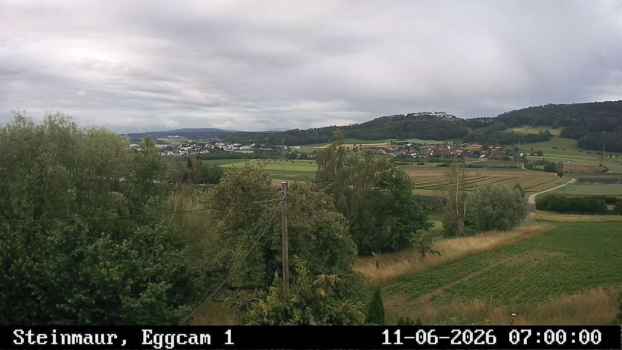Steinmaur › Süden: Regensberg