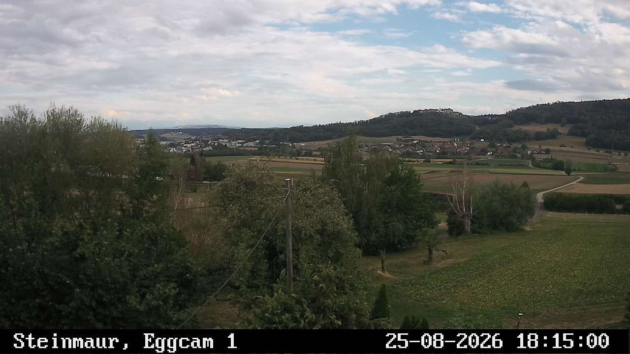 Steinmaur › Süden: Regensberg