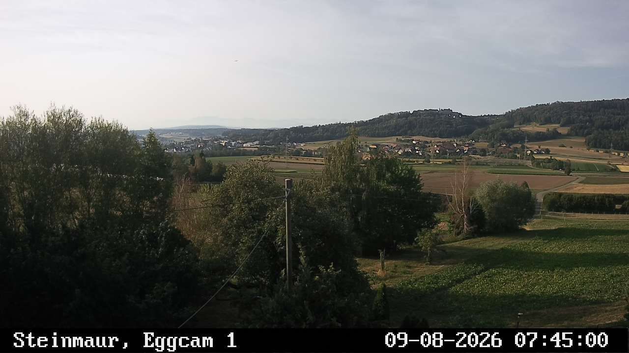 Steinmaur › Süden: Regensberg