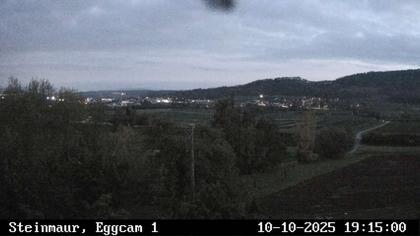 Steinmaur › Süd: Regensberg
