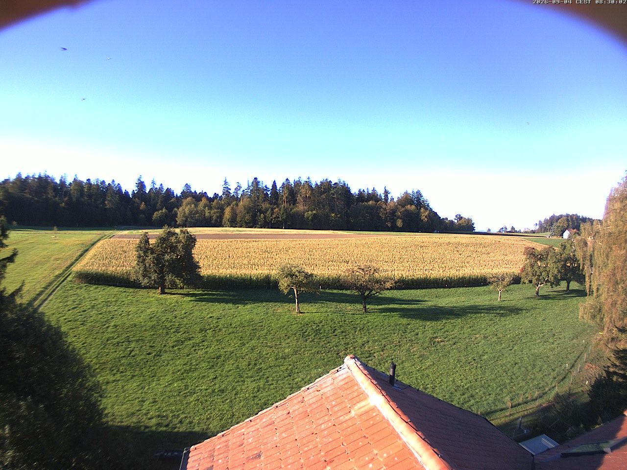 Homburg › Süden: Altes Schulhaus Salen