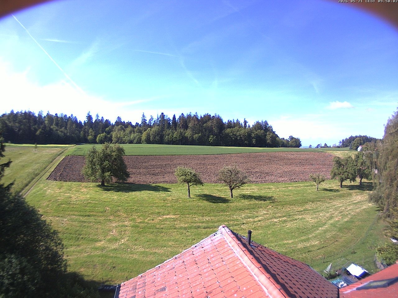 Homburg › Süden: Altes Schulhaus Salen