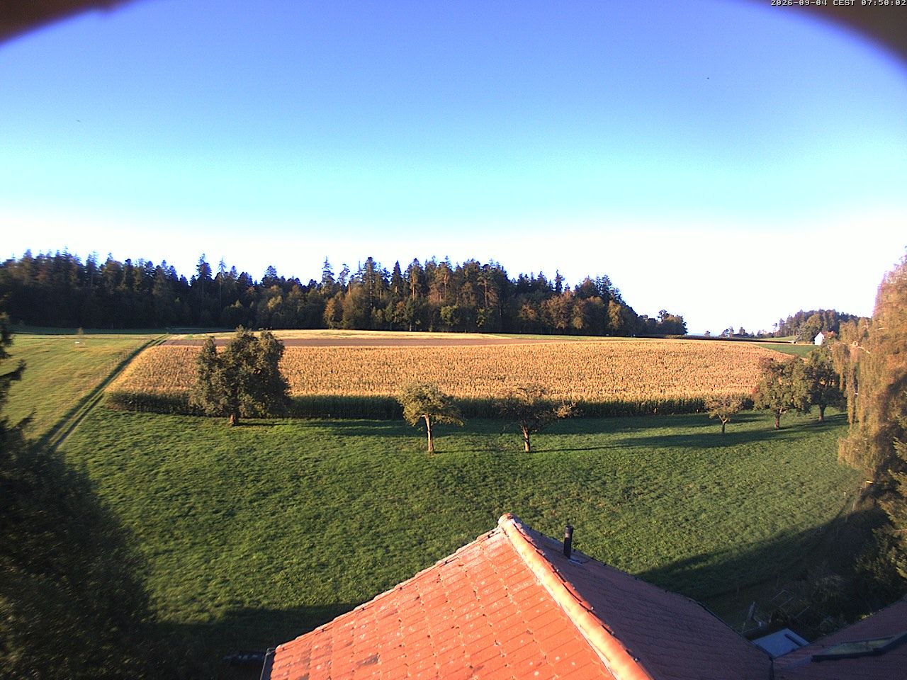 Homburg › Süden: Altes Schulhaus Salen