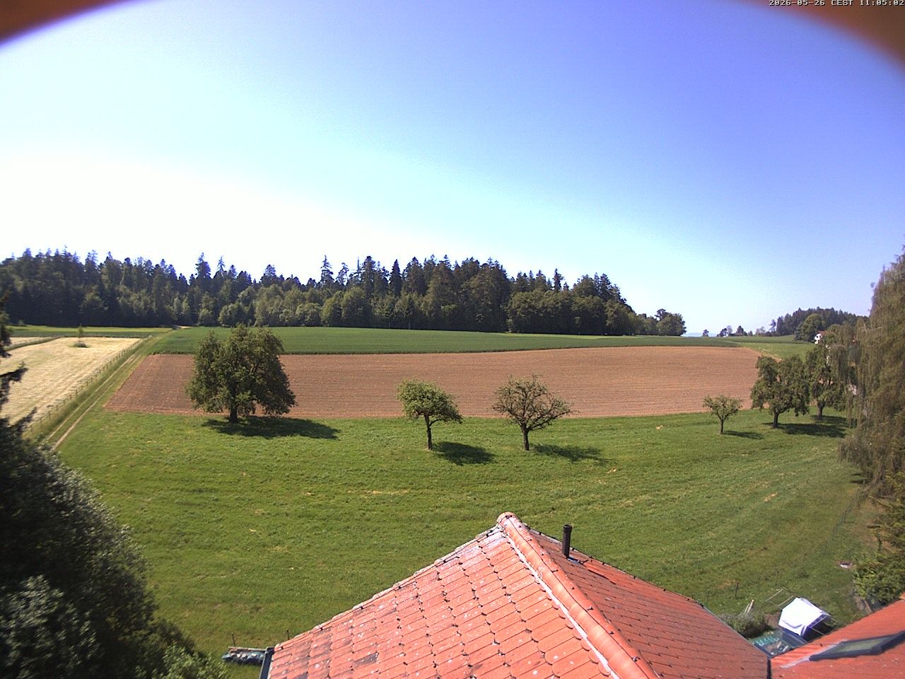 Homburg › Süden: Altes Schulhaus Salen