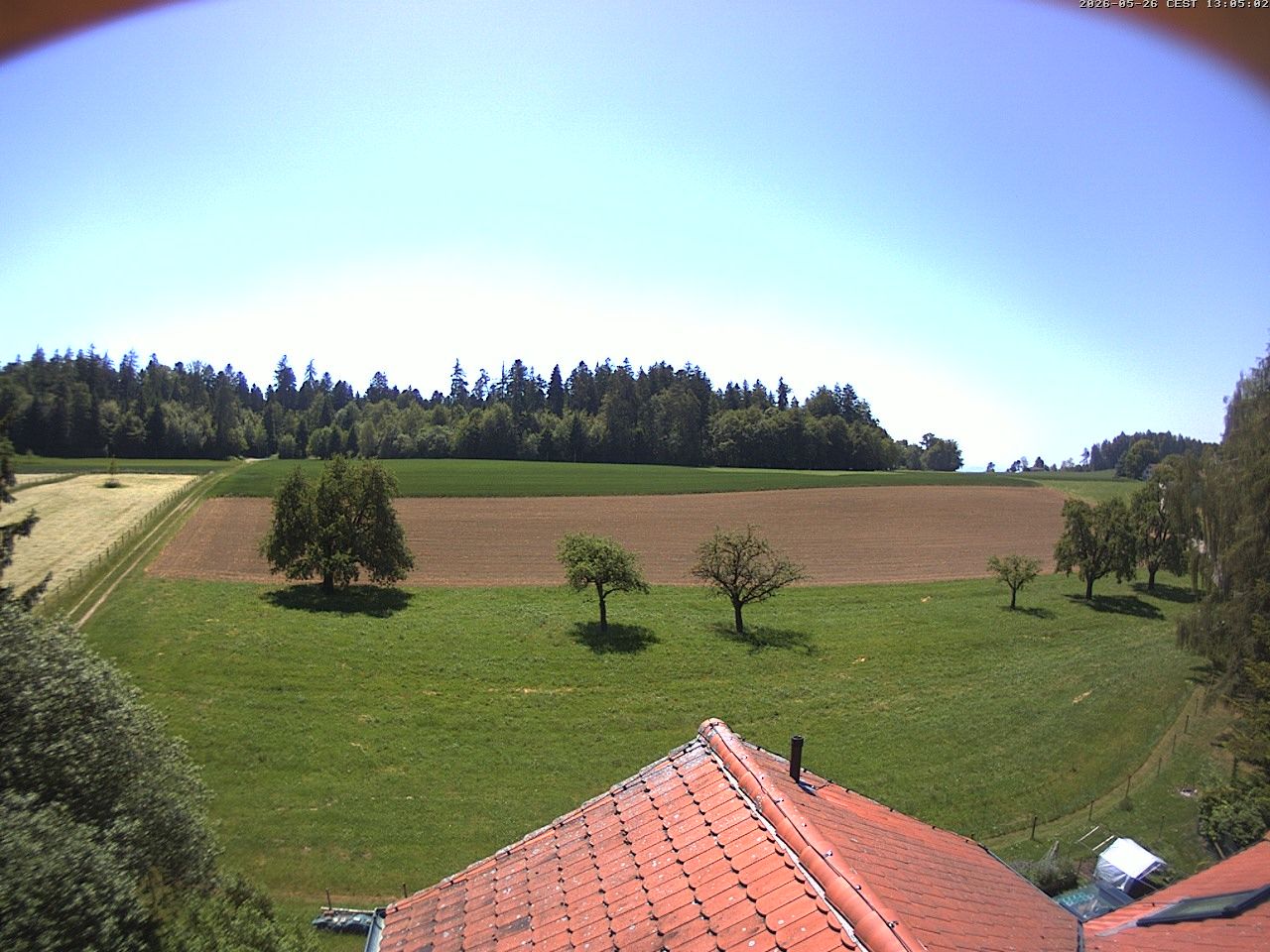 Homburg › Süden: Altes Schulhaus Salen