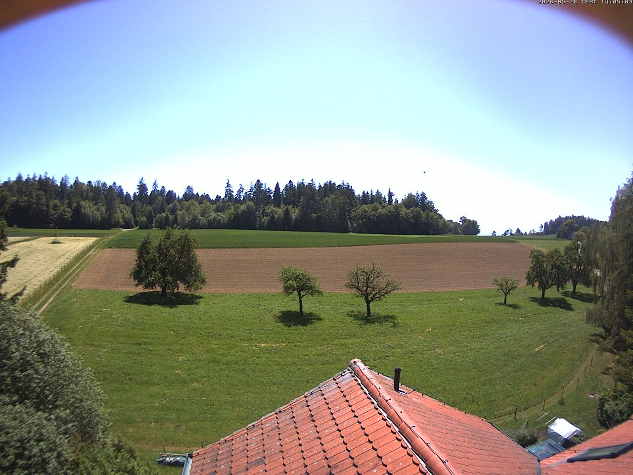 Homburg › Süden: Altes Schulhaus Salen