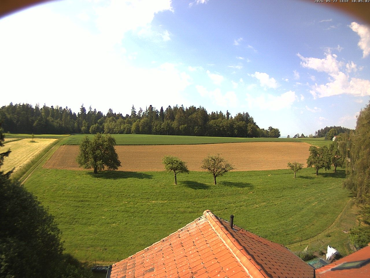 Homburg › Süden: Altes Schulhaus Salen