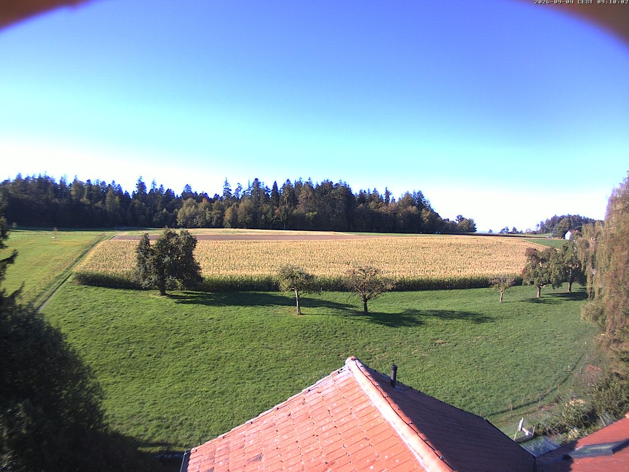 Homburg › Süden: Altes Schulhaus Salen