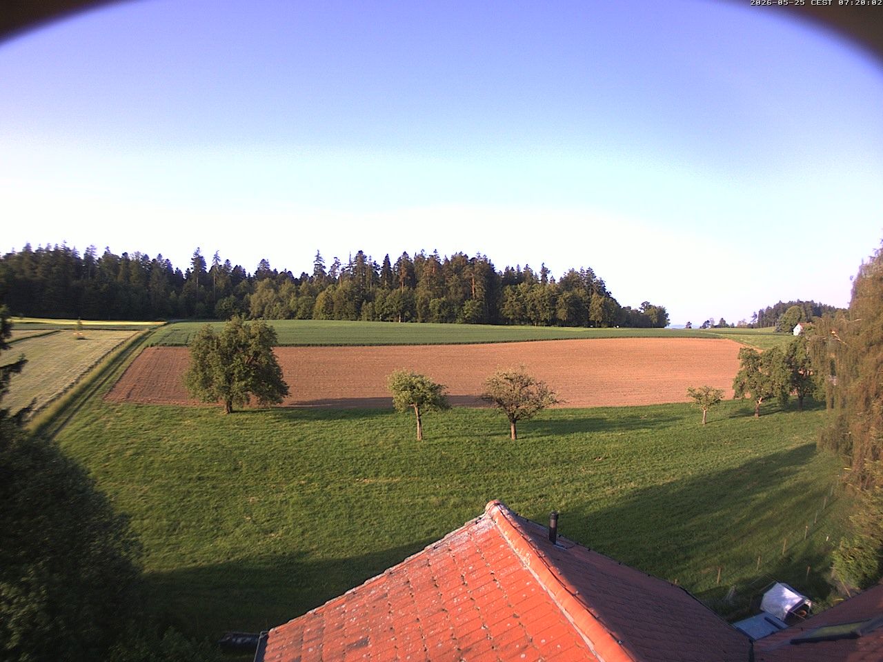 Homburg › Süden: Altes Schulhaus Salen