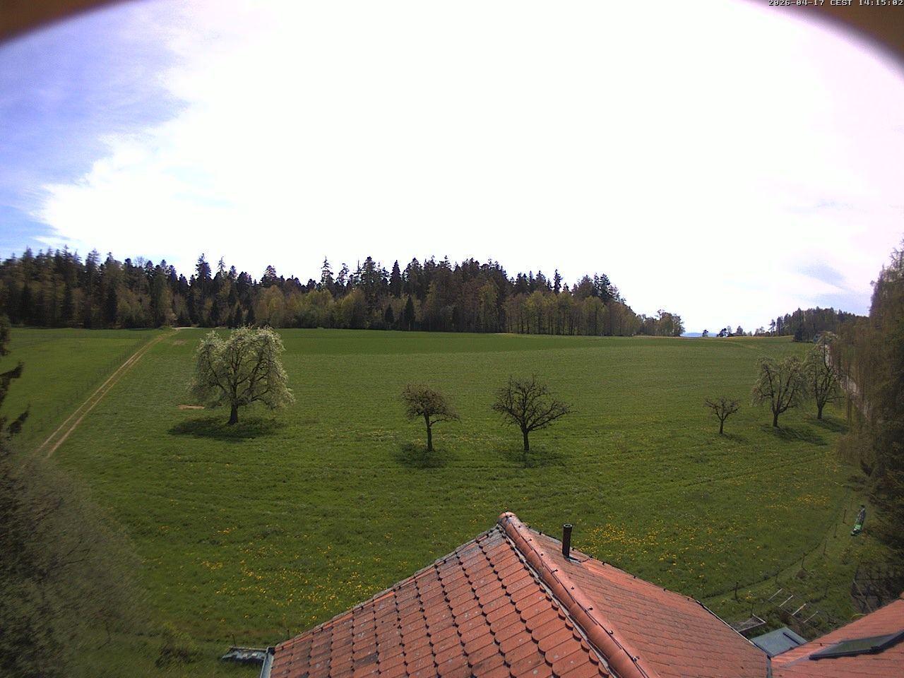 Homburg › Süden: Altes Schulhaus Salen
