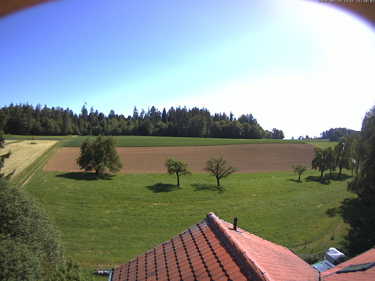Homburg › Süden: Altes Schulhaus Salen