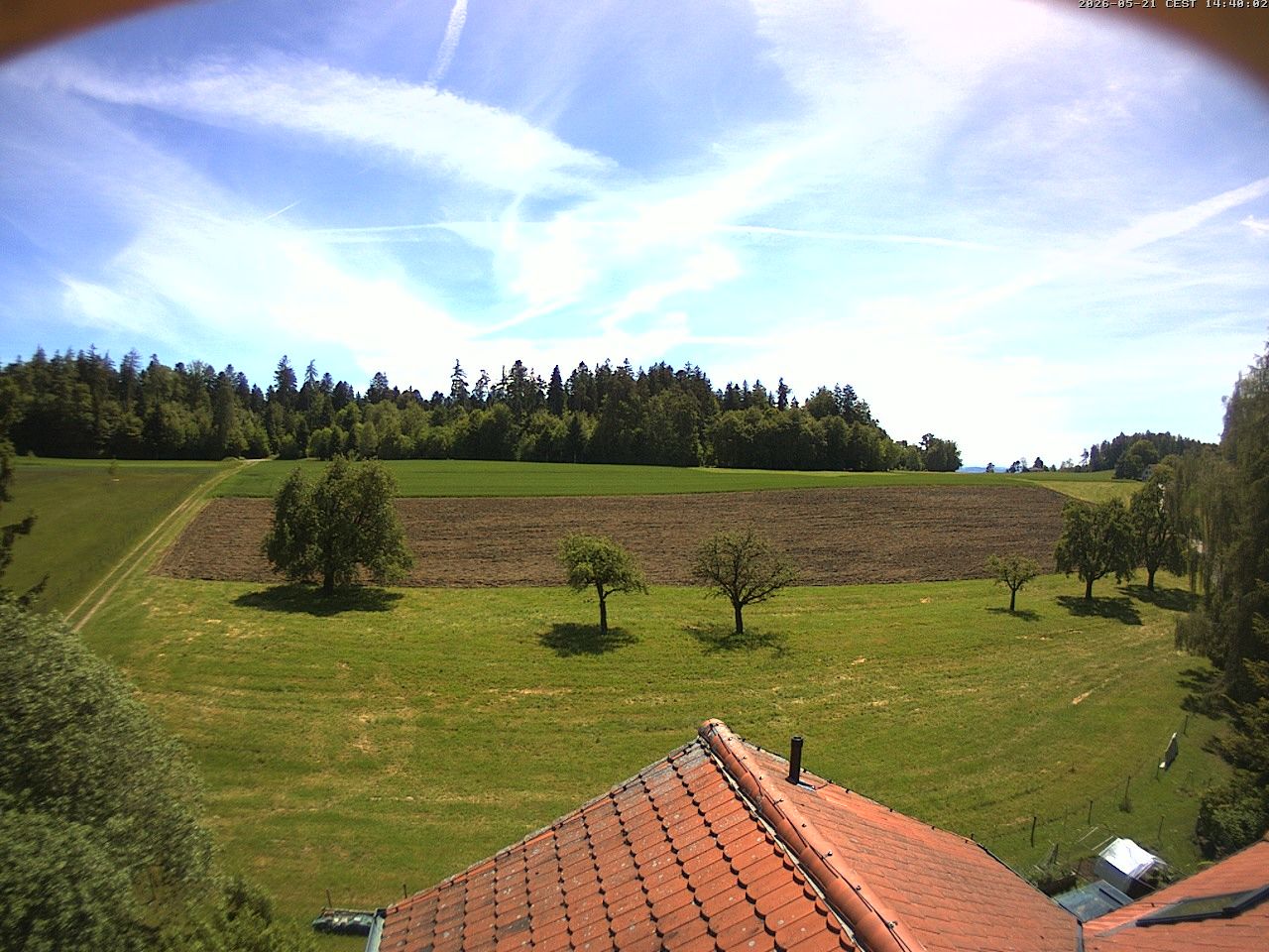 Homburg › Süden: Altes Schulhaus Salen