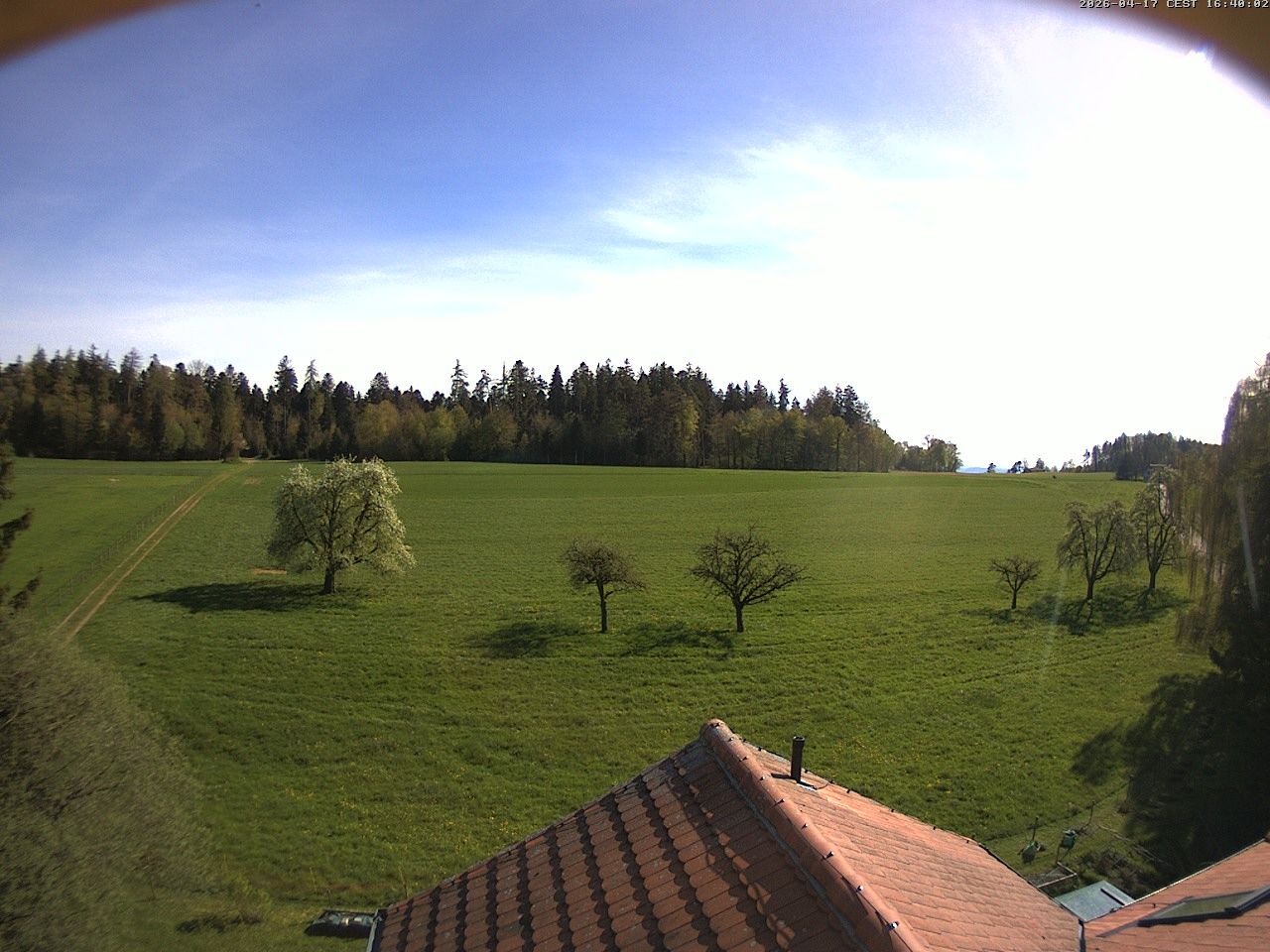 Homburg › Süden: Altes Schulhaus Salen