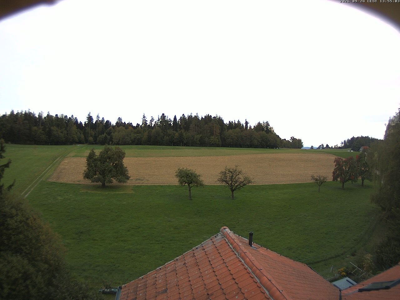 Homburg › Süden: Altes Schulhaus Salen