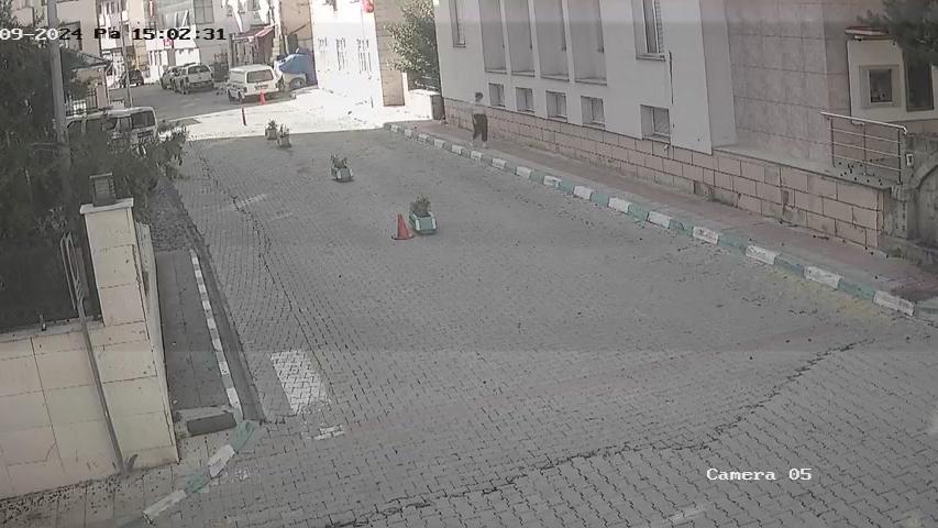 Traffic Cam Cevizli: Şavşat